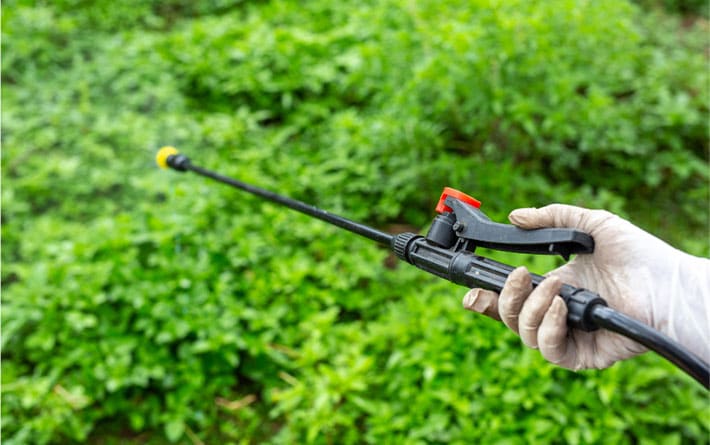 gardener spraying insect control formula