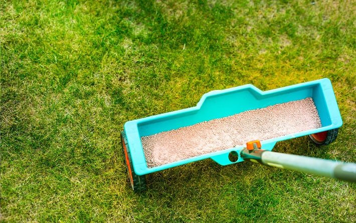 lawn care fertilization tool