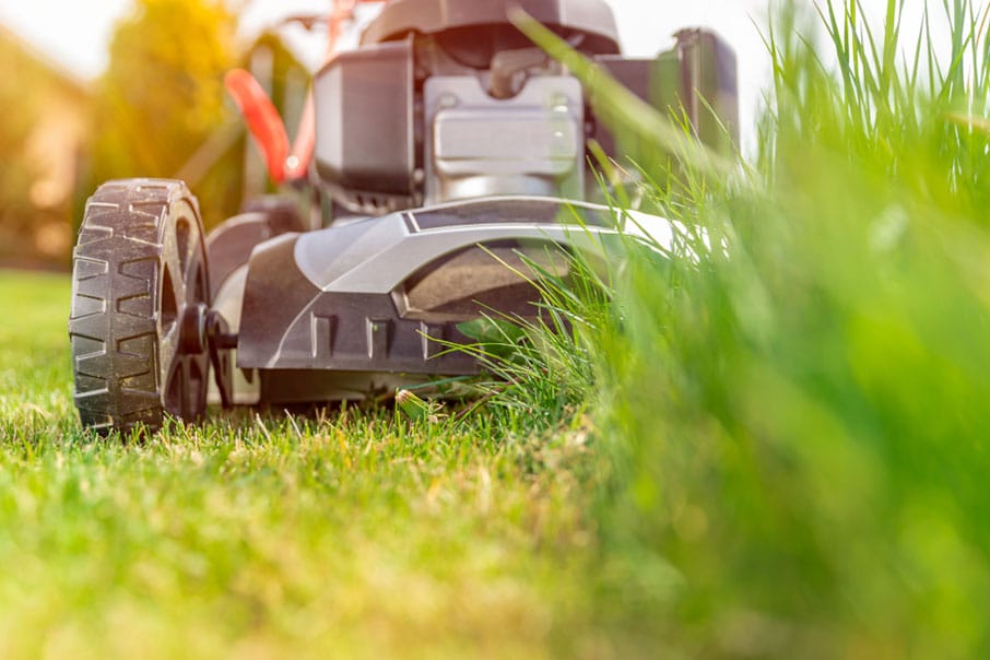 lawn care professional mowing lawn