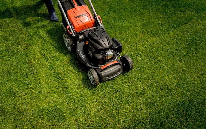lawn mower green grass summer garden