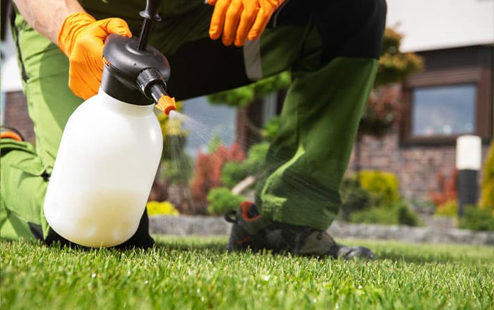 gardener spraying weed control formula