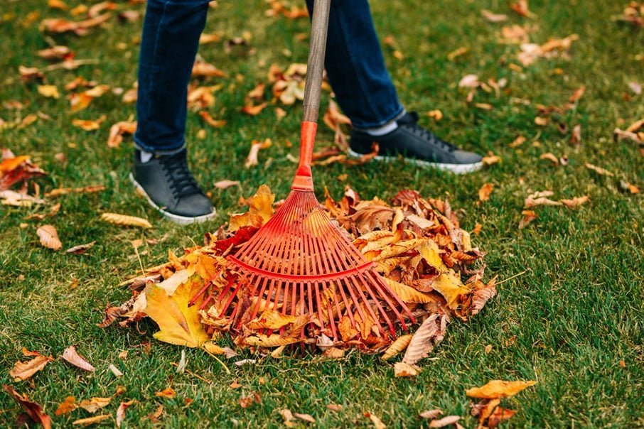 person raking fallen leaves in their lawn during fall